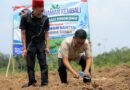 Andra Soni Panen Raya Singkong di Lebak, Hasilkan Komoditas Berkualitas dan Bernilai Tinggi Andra Soni Panen Raya Singkong di Lebak, Hasilkan Komoditas Berkualitas dan Bernilai Tinggi