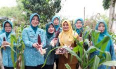 berita-pilihan-foto