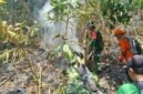 Tim gabungan yang terdiri dari TNI dan relawan memadamkan titik api kebakaran hutan dan lahan di kawasan Perhutani Kaliguwo-Kaliwiro, Wonosobo  