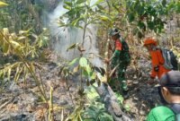 Tim gabungan yang terdiri dari TNI dan relawan memadamkan titik api kebakaran hutan dan lahan di kawasan Perhutani Kaliguwo-Kaliwiro, Wonosobo