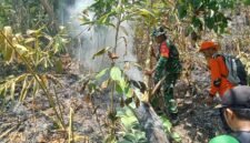 Tim gabungan yang terdiri dari TNI dan relawan memadamkan titik api kebakaran hutan dan lahan di kawasan Perhutani Kaliguwo-Kaliwiro, Wonosobo  