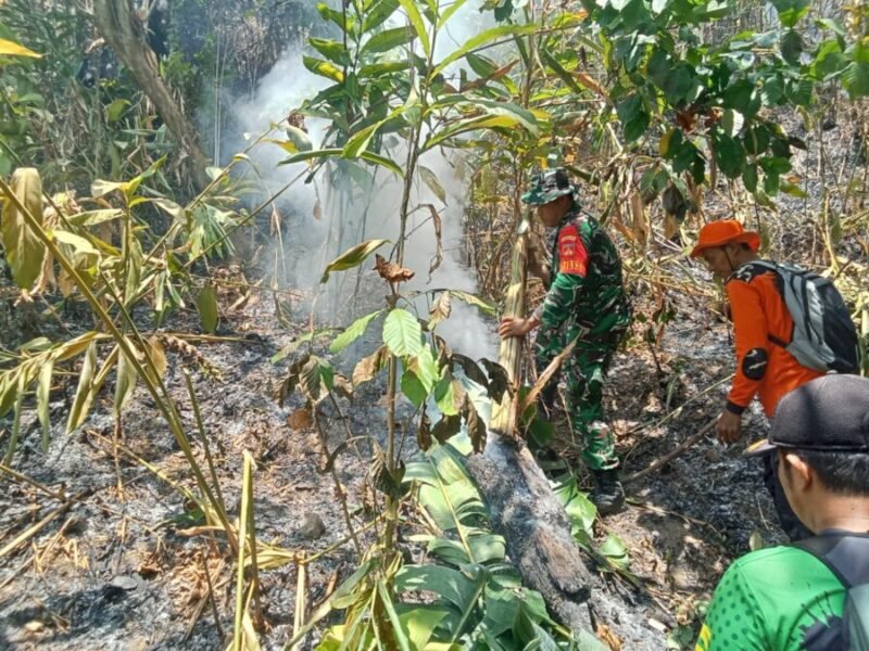 Tim gabungan yang terdiri dari TNI dan relawan memadamkan titik api kebakaran hutan dan lahan di kawasan Perhutani Kaliguwo-Kaliwiro, Wonosobo