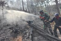 Personel Koramil 11 Kaliwiro bersama warga menyemprot sisa bara api saat proses pendinginan lahan bekas kebakaran di Bukit Bluwuk, Desa Kaliguwo, Kaliwiro, Wonosobo  