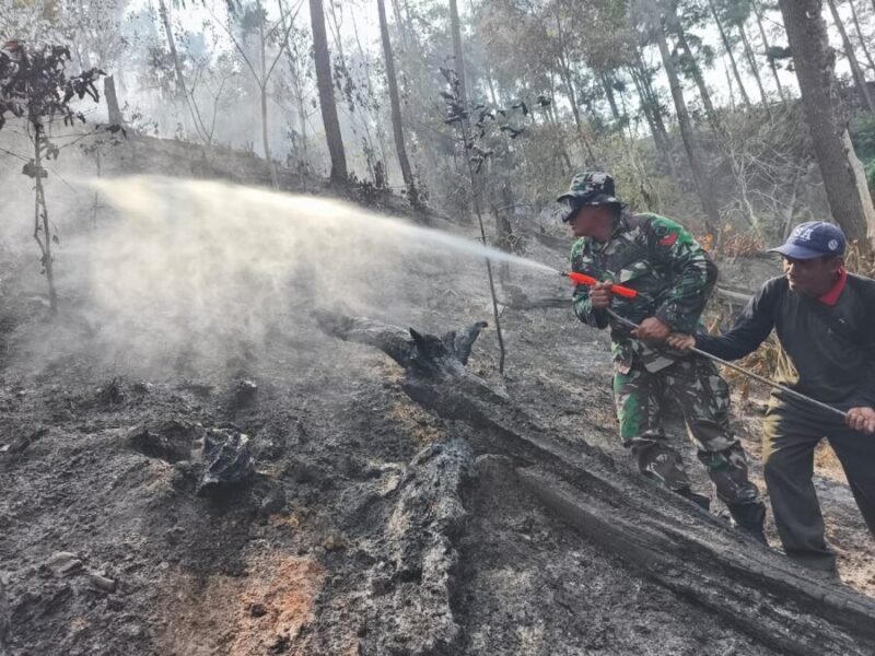 Personel Koramil 11 Kaliwiro bersama warga menyemprot sisa bara api saat proses pendinginan lahan bekas kebakaran di Bukit Bluwuk, Desa Kaliguwo, Kaliwiro, Wonosobo