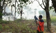 berita-pilihan-foto