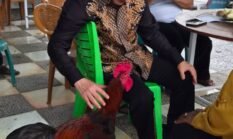 berita-pilihan-foto